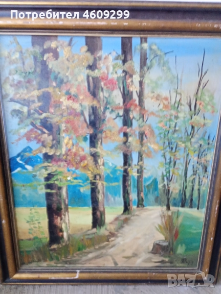 Голяма маслена картина!, снимка 1