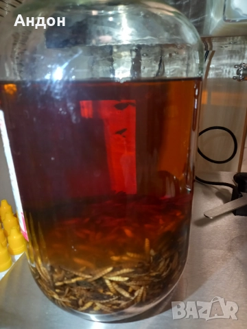 Извлек (тинктура) от ларви на восъчен молец, снимка 2 - Пчелни продукти - 52852018