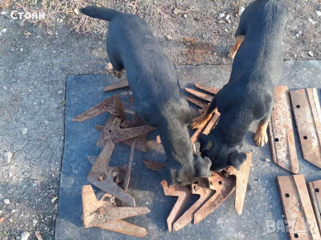 Култиватор, снимка 6 - Селскостопанска техника - 52638250
