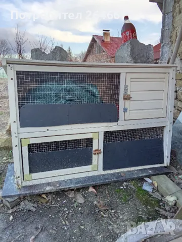 За декоративни гризачи