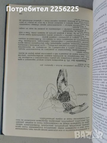Гинекология, снимка 2 - Специализирана литература - 47490359