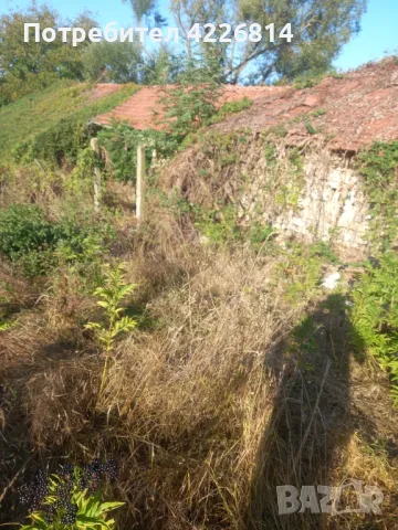 чистене на вилни места дворове, снимка 3 - Други почистващи услуги - 48486963