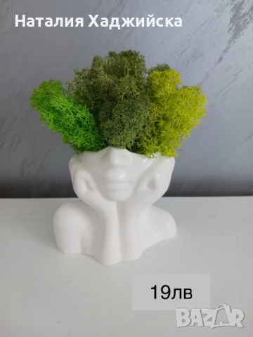 Кашпи със скандинавски мъх – тип „Лице“, снимка 4 - Декорация за дома - 51278821