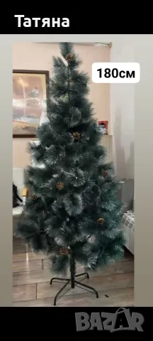 Елха 180см, снимка 1