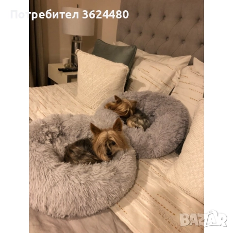 Пухено гнездо легло за куче или котка 3164, снимка 9 - За кучета - 52774656
