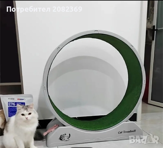 Фитнес за котки, снимка 3 - За котки - 51927054