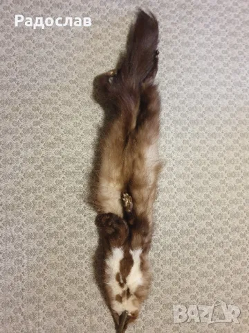 Яка от Белка, снимка 2 - Антикварни и старинни предмети - 49876658