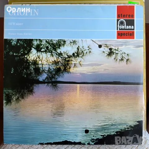 Грамофонни плочи - разни, снимка 9 - Грамофонни плочи - 50361298