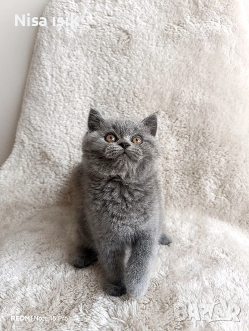 не е красив той е уникално момче в Хасково