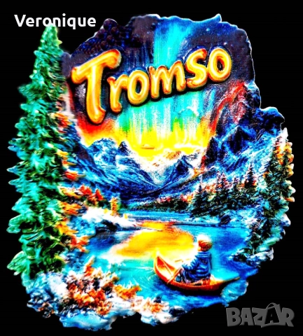 Магнити за хладилник част I, снимка 16 - Колекции - 20908329