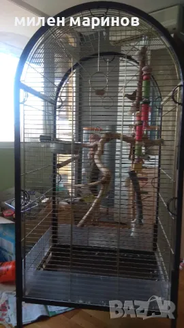 клетка, снимка 2 - Папагали - 49541088