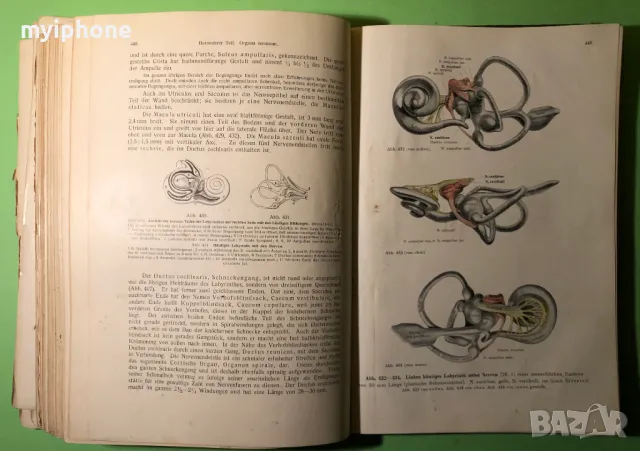 Стара Книга Анатомия ма Човека /Rauber Kopsch, снимка 9 - Специализирана литература - 49218517