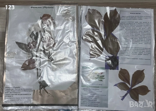 Хербарии, снимка 4 - Други услуги - 51619721