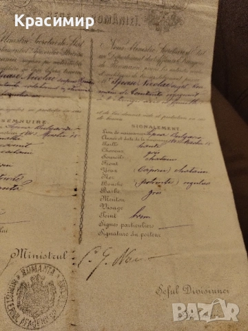 Румънски Паспорт 1904 г., снимка 2 - Други ценни предмети - 52484982