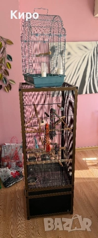 Две клетки и играчки , снимка 4 - Папагали - 54351817