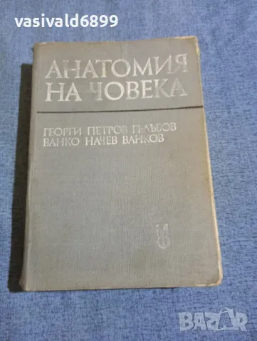 Гълъбов/Ванков - Анатомия на човека , снимка 1 - Специализирана литература - 48448435