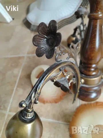 Полилеи тройка ретро, снимка 6 - Полилеи - 56046857