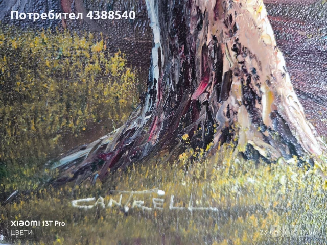 Картини, снимка 5 - Картини - 50767028