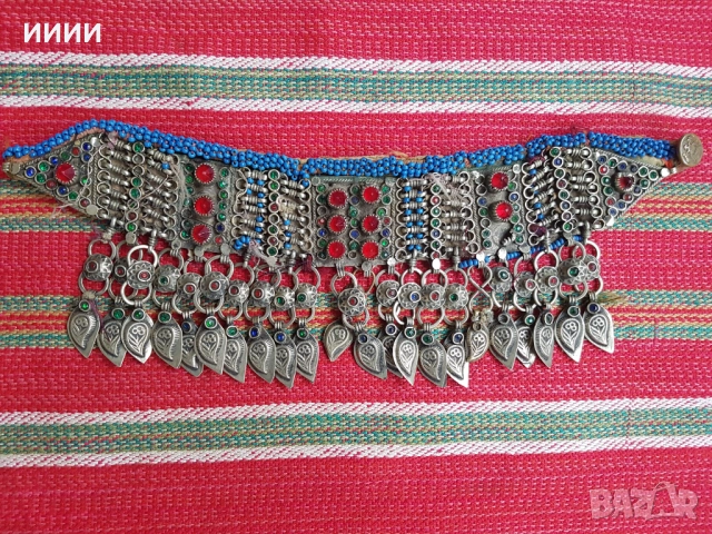 Сребърен прочелник кучка сокай