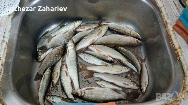 Къща в предбалкана село Ласкар, снимка 13 - Къщи - 53900053