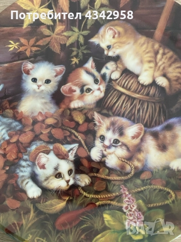 на фотографии:

Колекционерски порцеланови чинии Kahla – „Katzenkinder auf Entdeckungsreise“., снимка 7 - Други ценни предмети - 56018285
