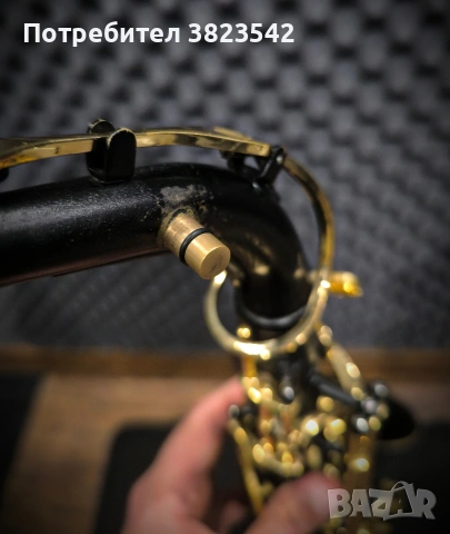 Алт саксофон "Cecilio" , снимка 4 - Духови инструменти - 53231706