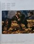 National Geographic 100-те най-добри снимки на животн, снимка 3