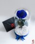 Естествена Вечна Роза в ГОЛЯМА Стъкленица / Подарък за Годишнина от Сватбата / Синя Вечна Роза