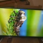 32" телевизор LG, снимка 7