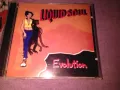 Liquid Soul Evolution CD компакт диск отличен, снимка 1