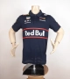 Red Bull Racing F1 Team Polo Shirt - Оригинална мъжка тениска с яка, снимка 8