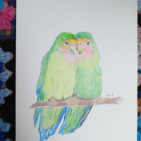 Влюбени папагали - картина с моливи, снимка 2 - Картини - 44666396