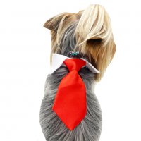 Вратовръзка за куче Официален костюм за куче Кучешки вратовръзки Кучешка вратовръзка/папийонка, снимка 7 - За кучета - 19909213