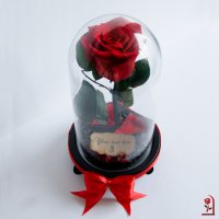 Подарък за Рожден ден на Жена / Вечна ЕСТЕСТВЕНА Роза в Стъкленица / Подарък за Мама, снимка 8 - Подаръци за рожден ден - 34268430