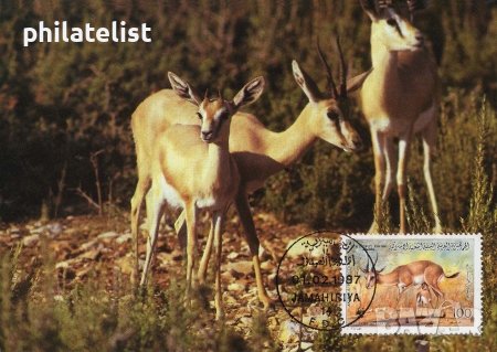 Либия 1987 - 4 броя Карти Максимум - WWF, снимка 1