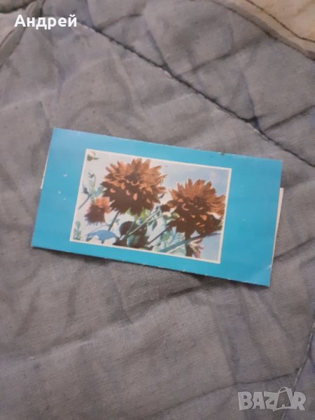 Стара опаковка от Фин Млечен шоколад #2, снимка 1