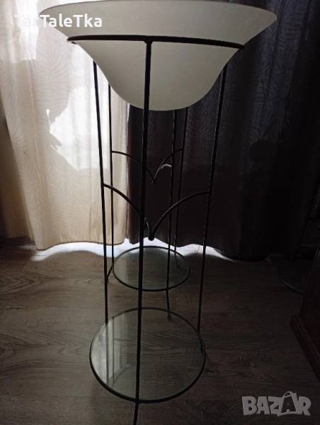 Цветарник саксийник , снимка 1