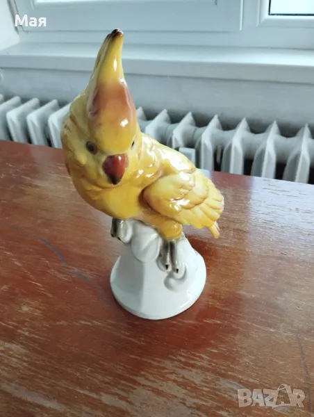 Порцеланов папагал  Какаду антика, снимка 1