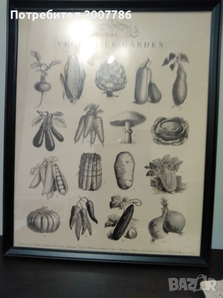 Зеленчуци-графика, снимка 1