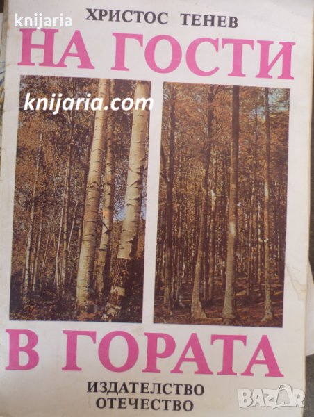 На гости в гората, снимка 1