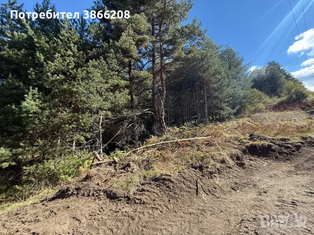 Земеделска земя , снимка 9 - Парцели - 56413709