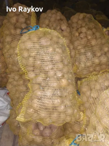 Картофи, Френско за чипс , Резене , Rezene, снимка 4 - Други - 48695284