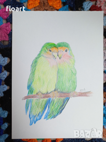 Влюбени папагали - картина с моливи, снимка 2 - Картини - 44666396