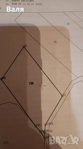 ,Продавам черешови насаждения в с.Лелинци, снимка 2 - Земеделска земя - 53954905