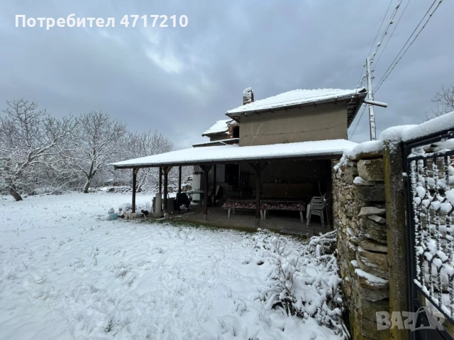 ПРОДАВА имот в с. Бресте, общ. Червен Бряг – 2500 кв.м., ДВЕ КЪЩИ, два двора, снимка 12 - Къщи - 53324328