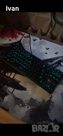 Genesis Thor 300 tkl, снимка 2 - Клавиатури и мишки - 53184954