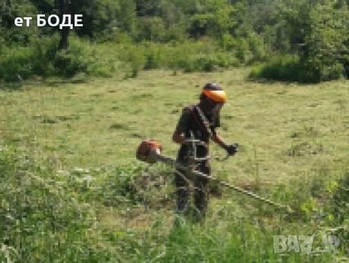 Почистване на терени от дървета и храсти, снимка 2 - Други услуги - 53281783