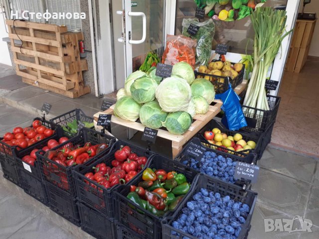 Цялостно оборудване за Плод-Зеленчук и Био магазин , снимка 6 - Стелажи и щандове - 44264882