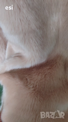 Дамско палто , снимка 3 - Палта, манта - 53257727
