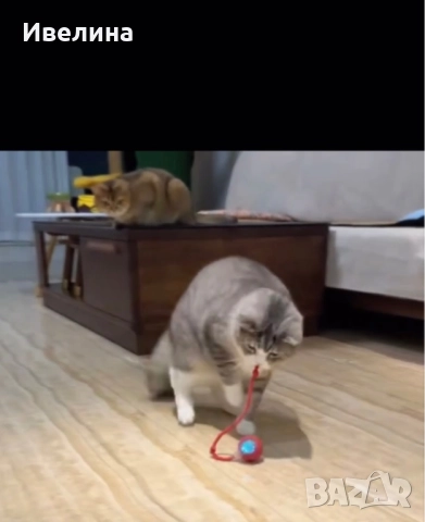 Играчка за котки – светеща и зареждаща се с USB